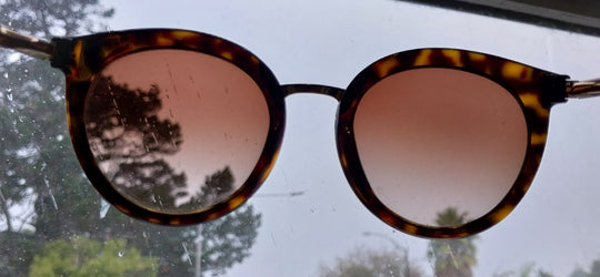 Dole & Gabbana Havana Sunglasses