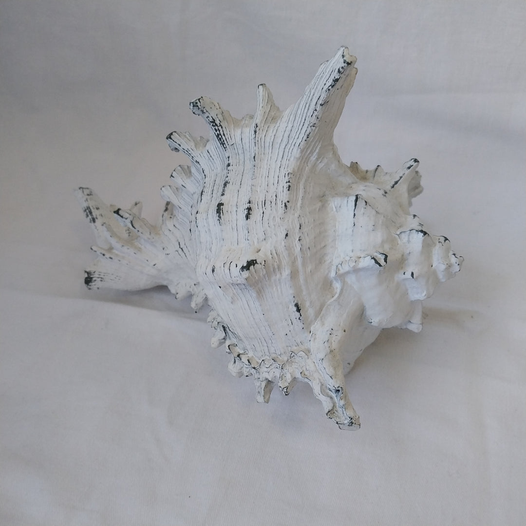 Faux Conch Shell