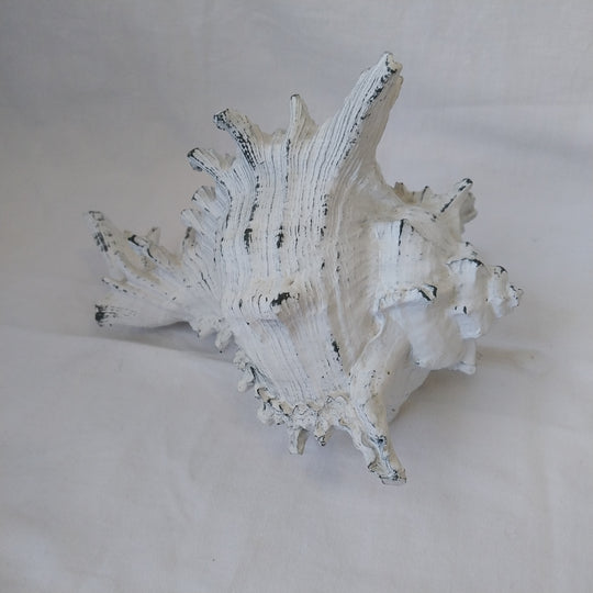 Faux Conch Shell