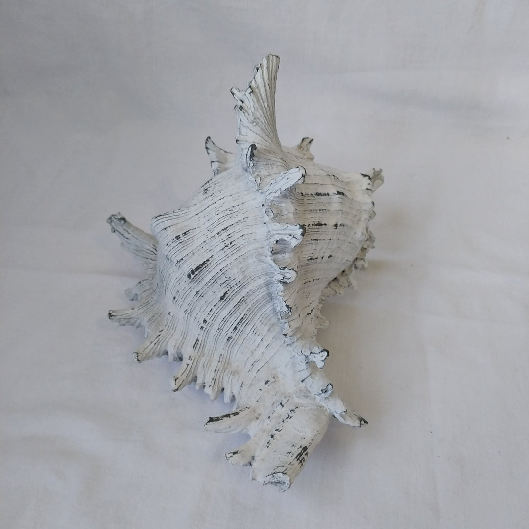 Faux Conch Shell