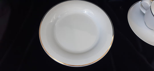 Hutschenreuther German Dinner Set white with gold trim