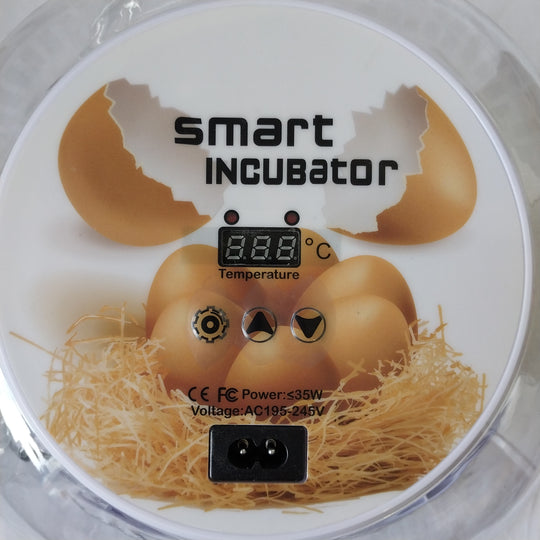 Smart Egg Incubator BNIB