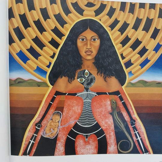 Toi Tu Toi Ora Contemporary Maori Art Book  Edited by Nigel Borell New Zealand
