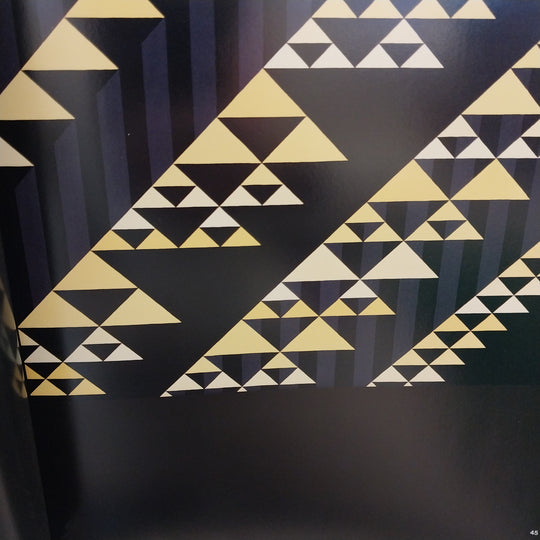 Toi Tu Toi Ora Contemporary Maori Art Book  Edited by Nigel Borell New Zealand