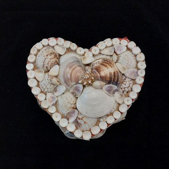 Vintage Sea Shell Heart Shaped Trinket Box Bo Ho Chic
