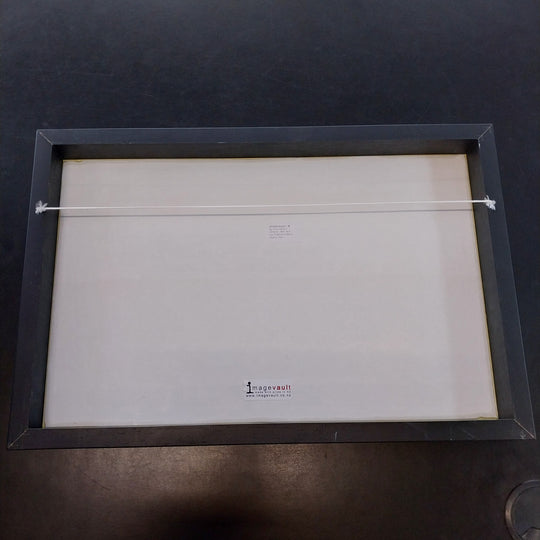 *New Zealand Art -Tui In a Pohutukawa Tree -Titled Kapiti by Irina Velman*