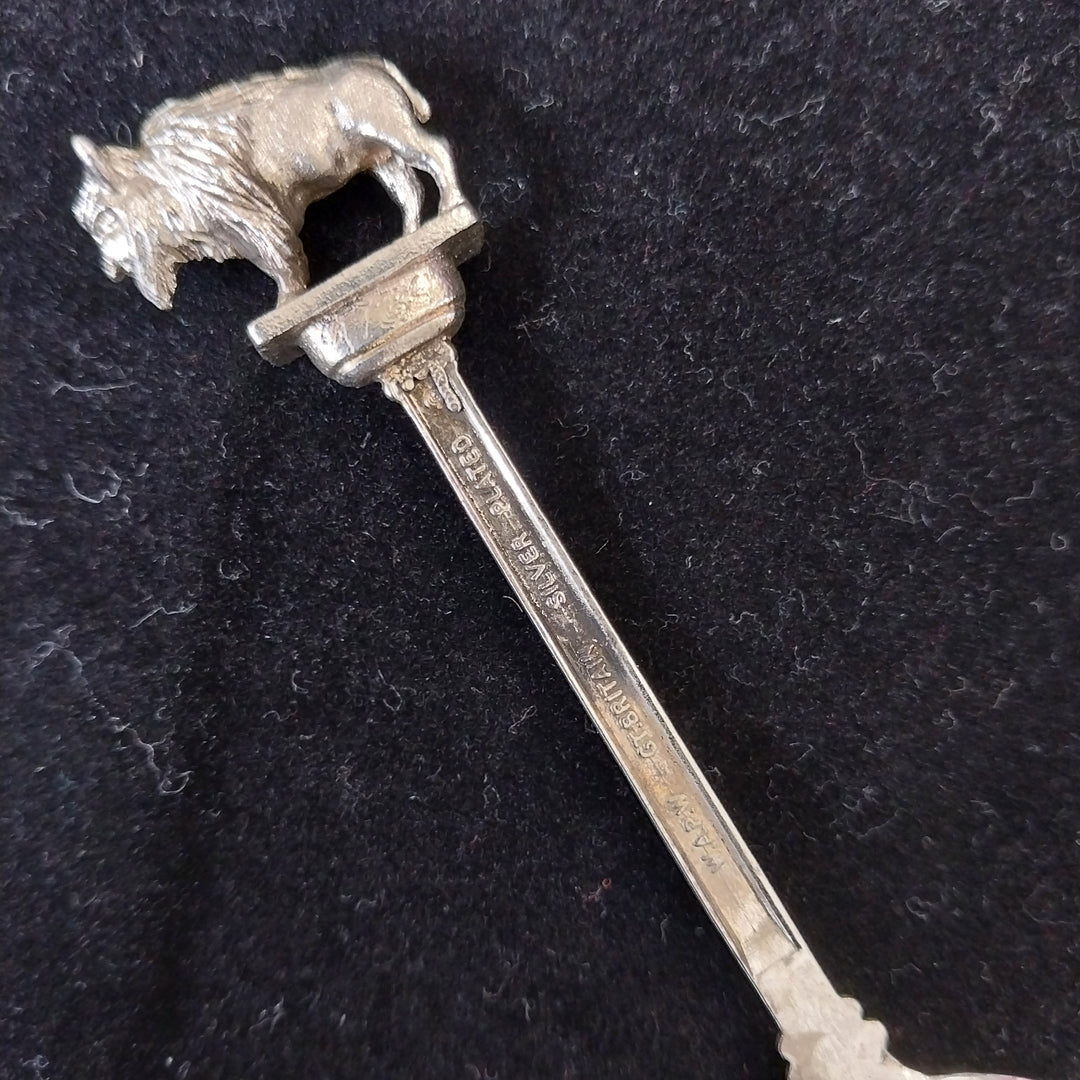 *8 Silverplated  Vintage Souvenir Spoons -Colectable*