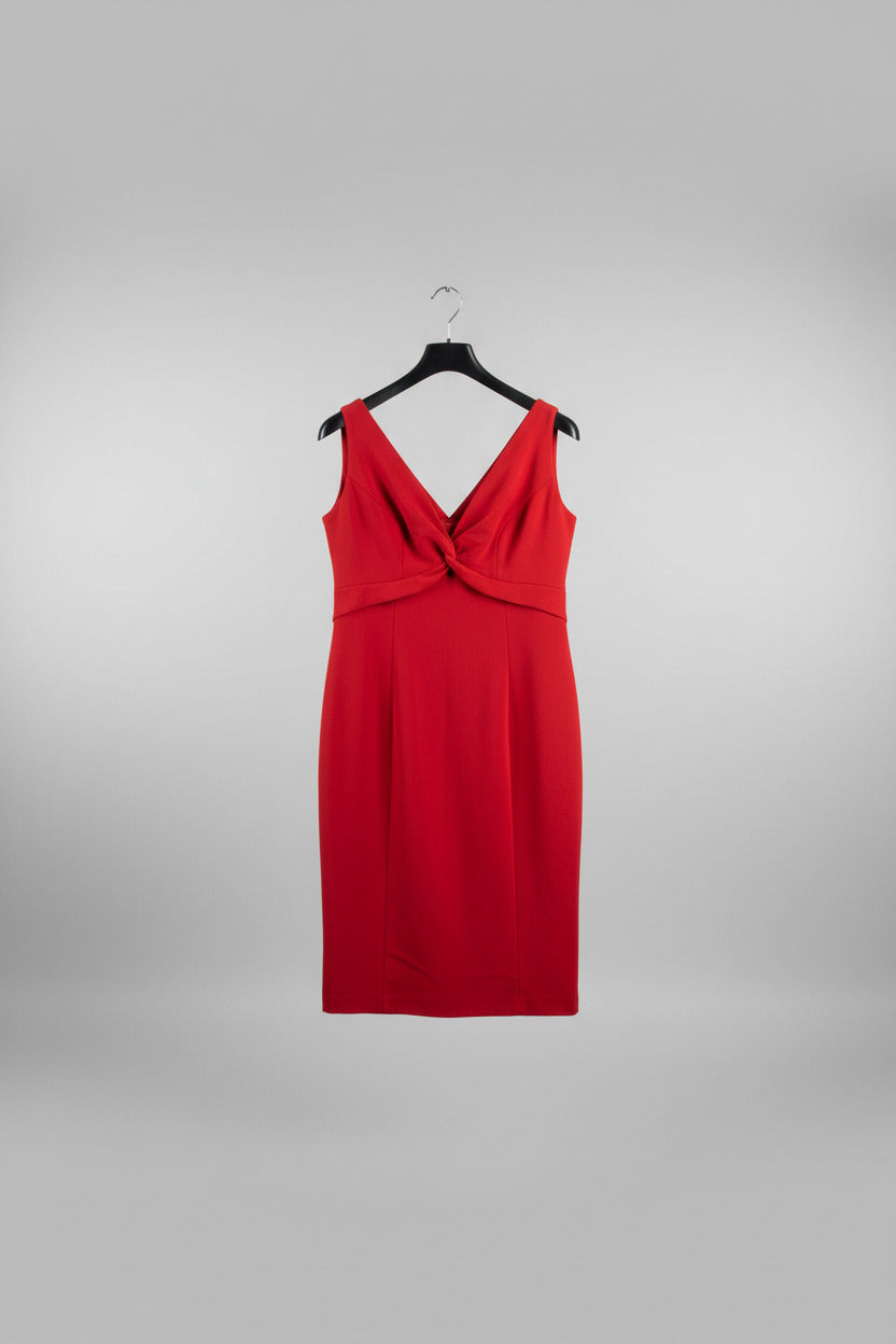 Adrienne Winkelman Sheath Dress