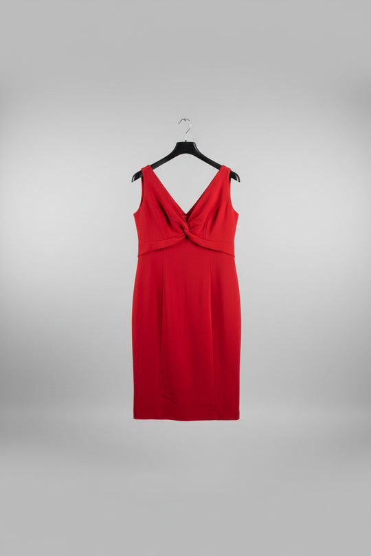 Adrienne Winkelman Sheath Dress