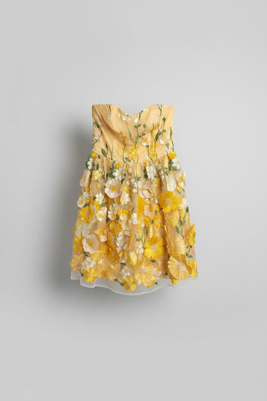 Augustine "Simba" Mini Dress