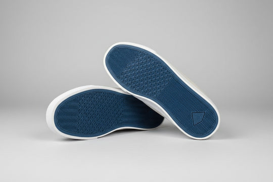 Emerica "Temple" Skate Shoe