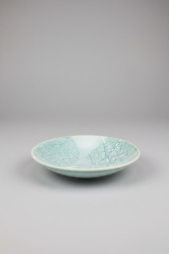 DesigNZCeramic Art Bowl