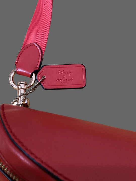 Coach x Guang Yu "Rexy Remix" Belt Bag