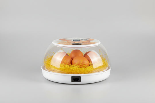 Smart Incubator