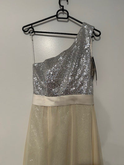 Made For You Sequin Dress (BNWT)