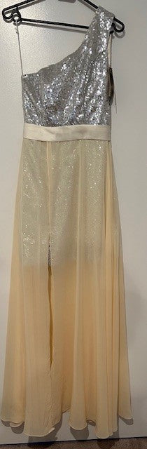 Made For You Sequin Dress (BNWT)