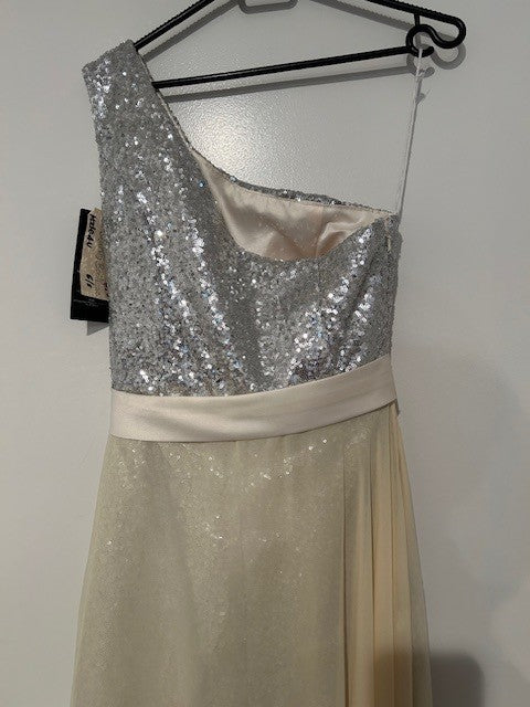 Made For You Sequin Dress (BNWT)