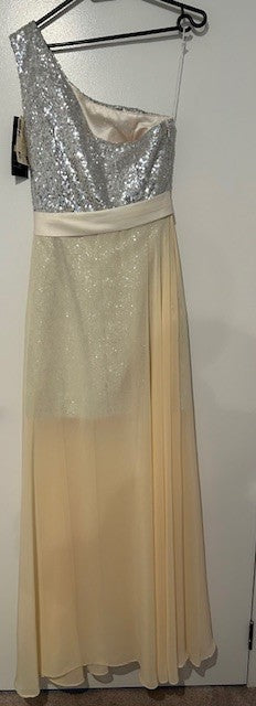 Made For You Sequin Dress (BNWT)