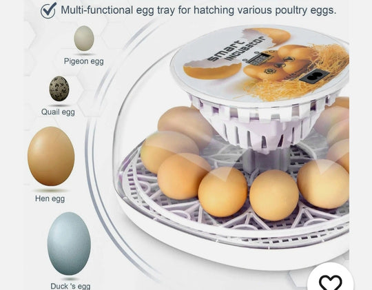 Smart Egg Incubator BNIB